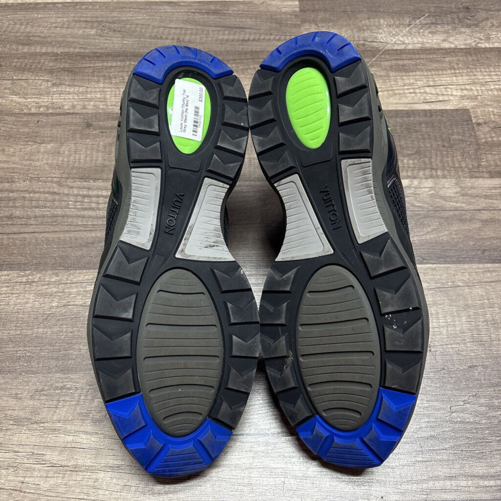 Louis Vuitton Chunky Trail Grey Mesh (No Box)