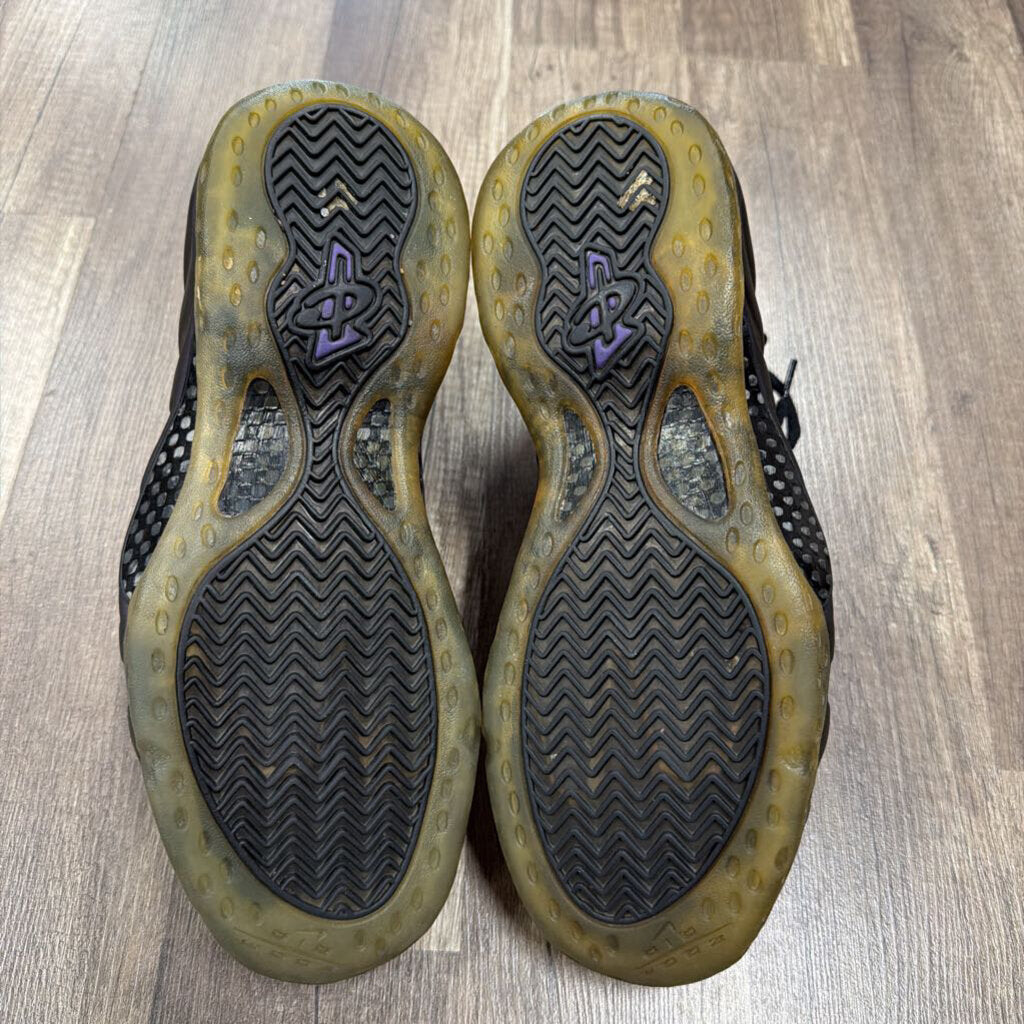 Nike Foamposite Egg Plant