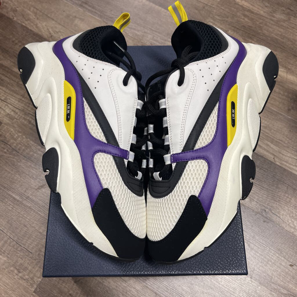 DIor B22 White Purple