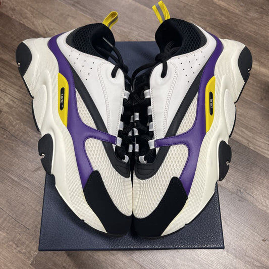 DIor B22 White Purple