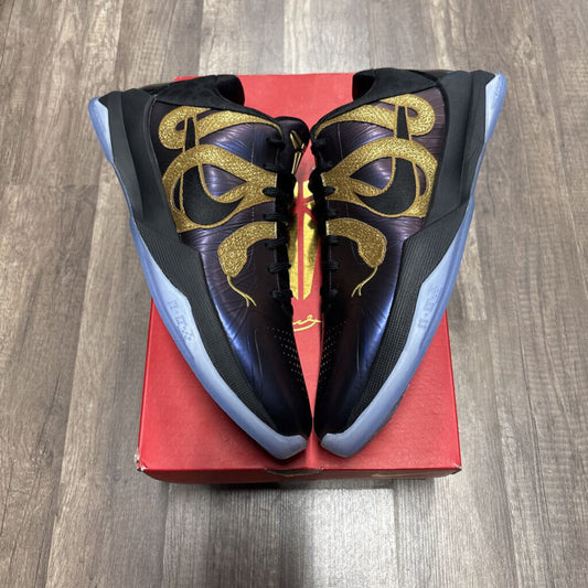 Kobe 5 year of the mamba