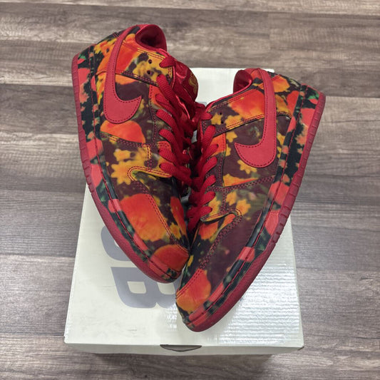 Nike SB Wizard of oz