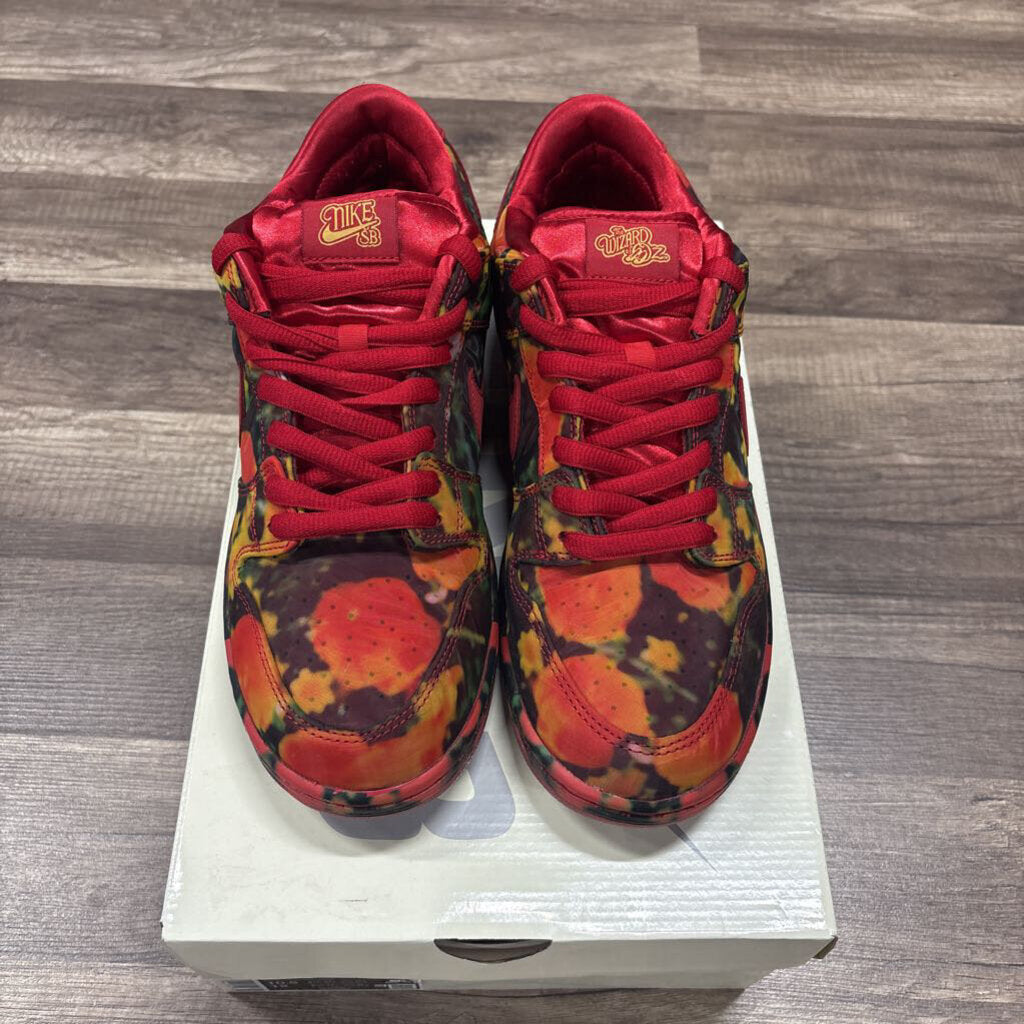 Nike SB Wizard of oz