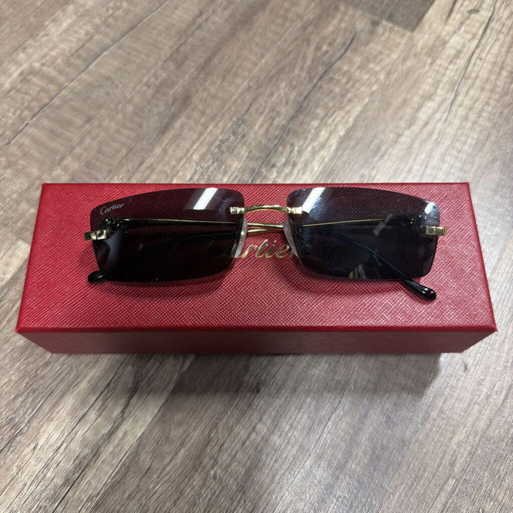 Cartier Glasses Panther Black Tint