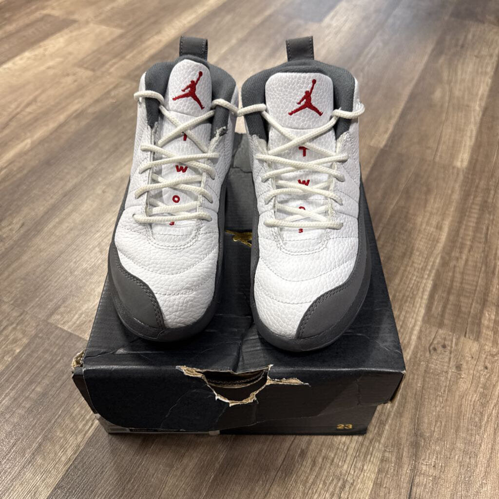 Jordan 12 Cool Grey
