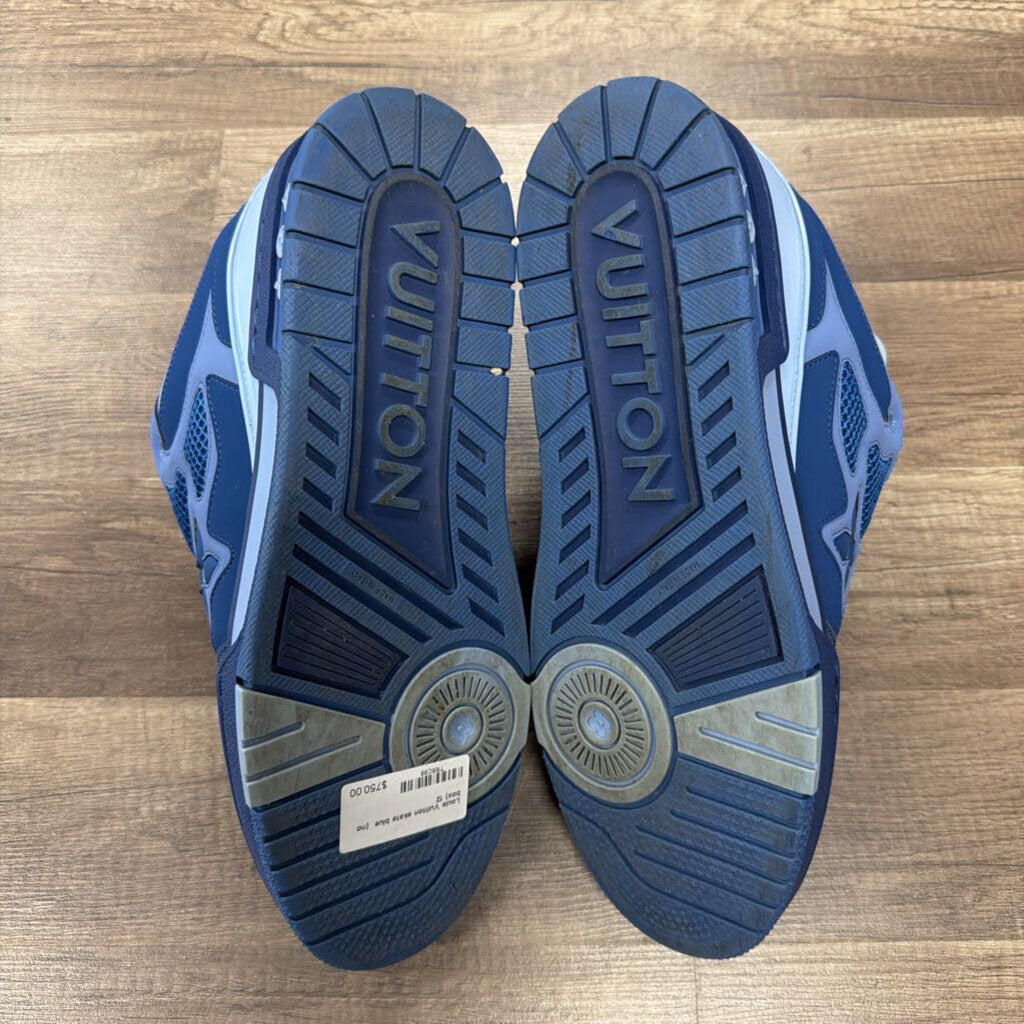Louis Vuitton skate blue (no box)