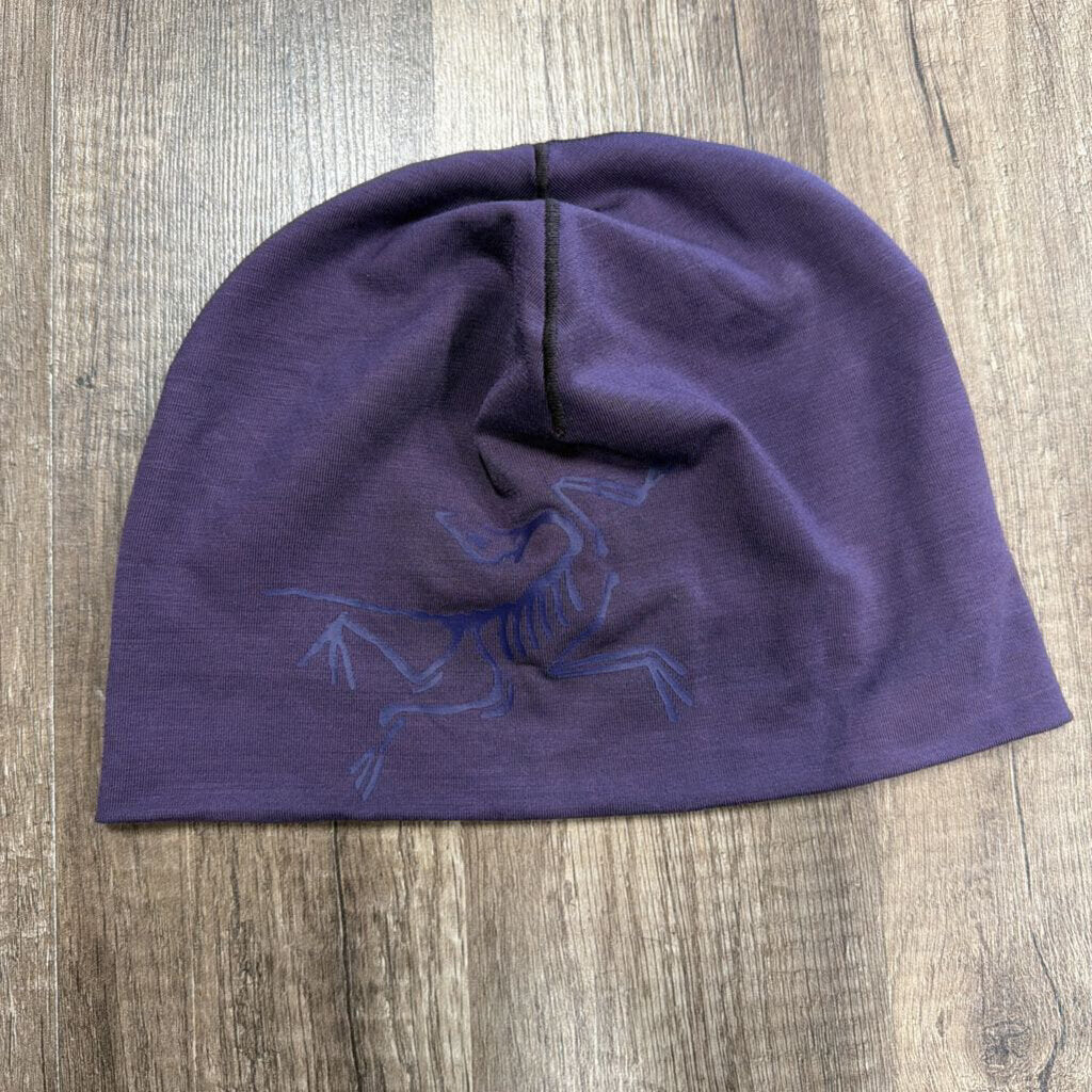 Arcteryx Skully Purple