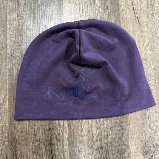 Arcteryx Skully Purple