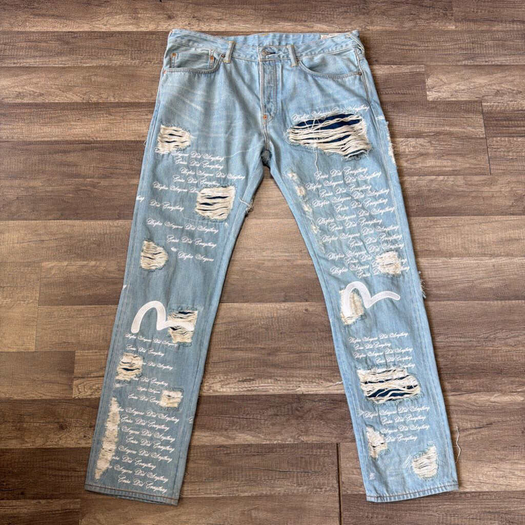 Evisu WDW Jean Seagull Distressed