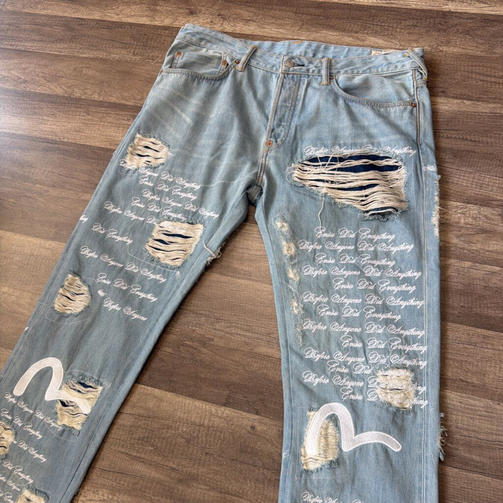 Evisu WDW Jean Seagull Distressed